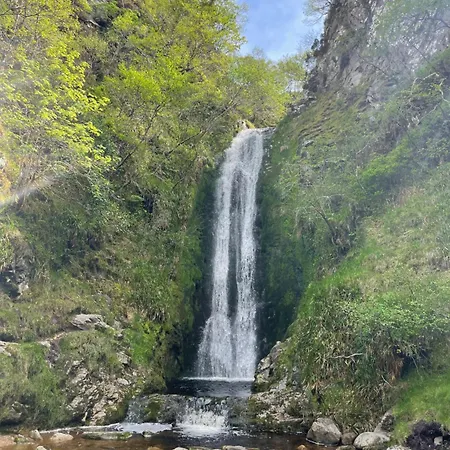 Hughie's Farm Дом отдыха Баллилиффин